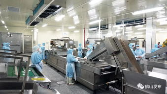 厉害了 鹤山这个工厂今日竣工,预计年营业额将达10亿元
